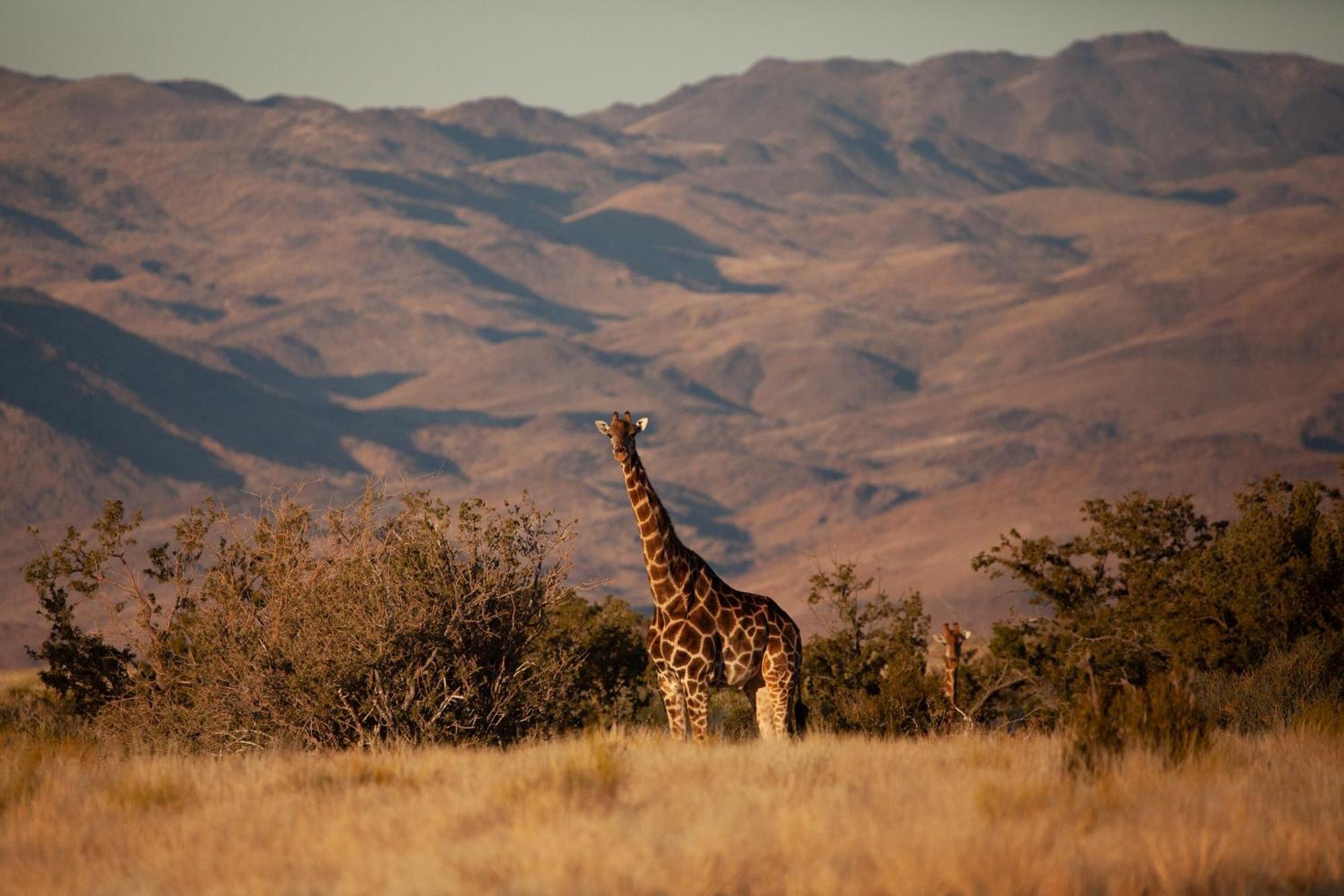 Sandfontein Lodge & Nature Reserve エクステリア 写真