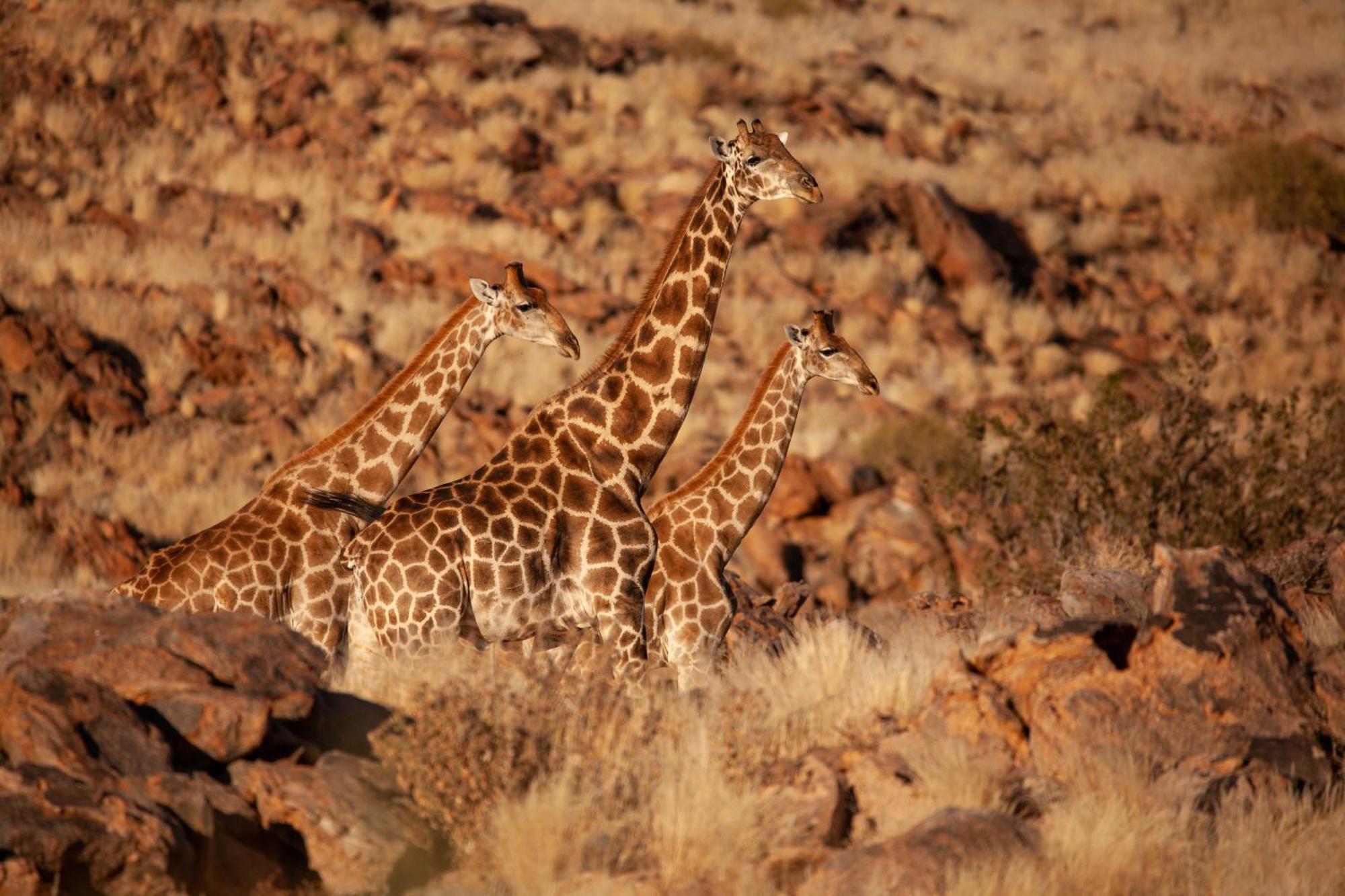 Sandfontein Lodge & Nature Reserve エクステリア 写真