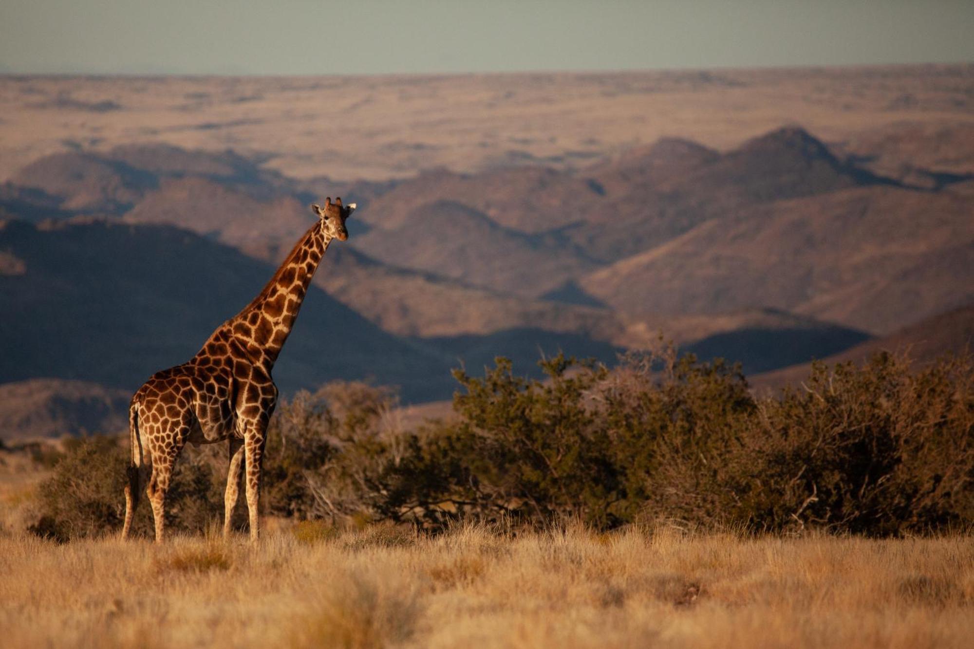 Sandfontein Lodge & Nature Reserve エクステリア 写真