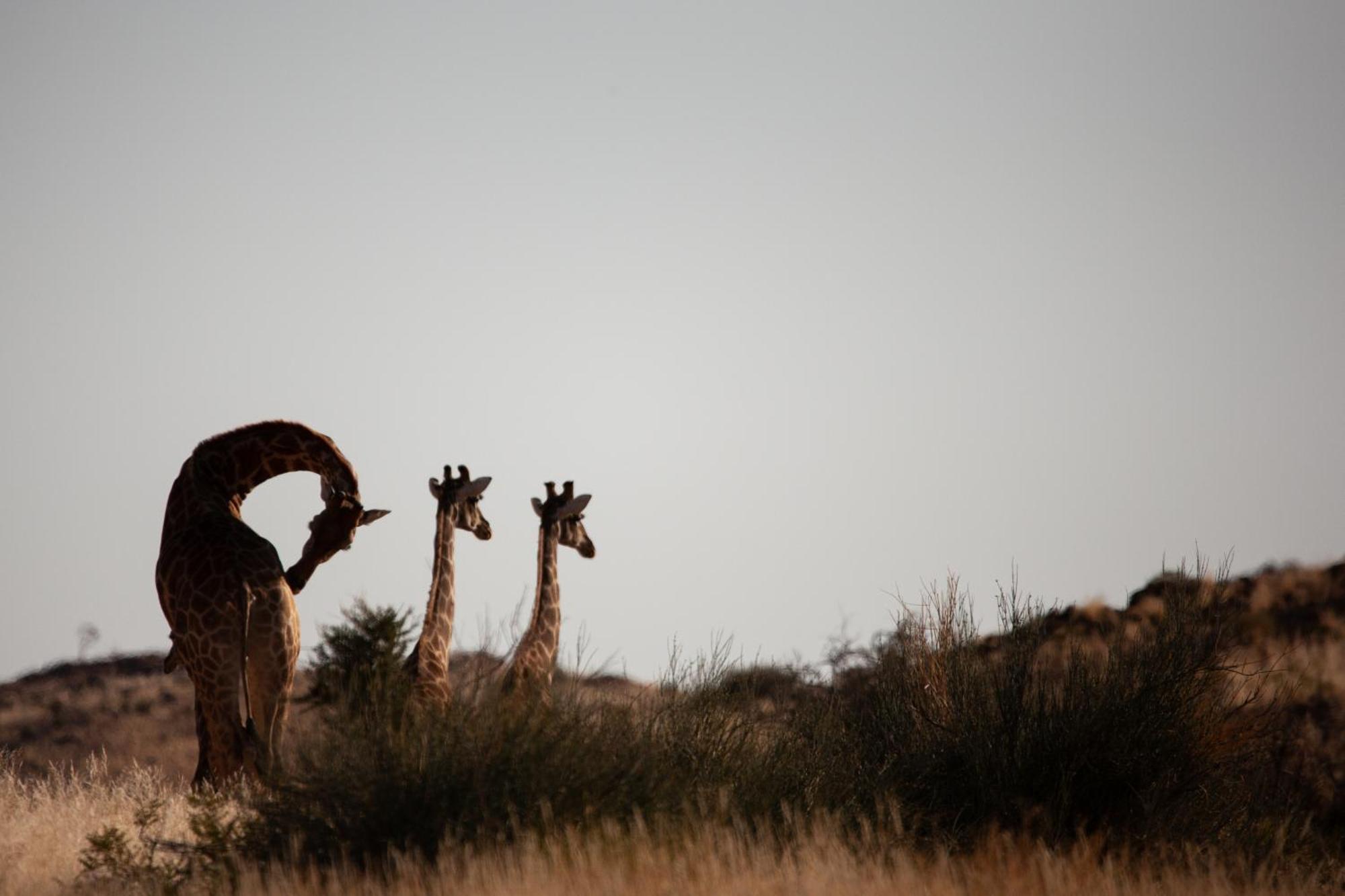 Sandfontein Lodge & Nature Reserve エクステリア 写真
